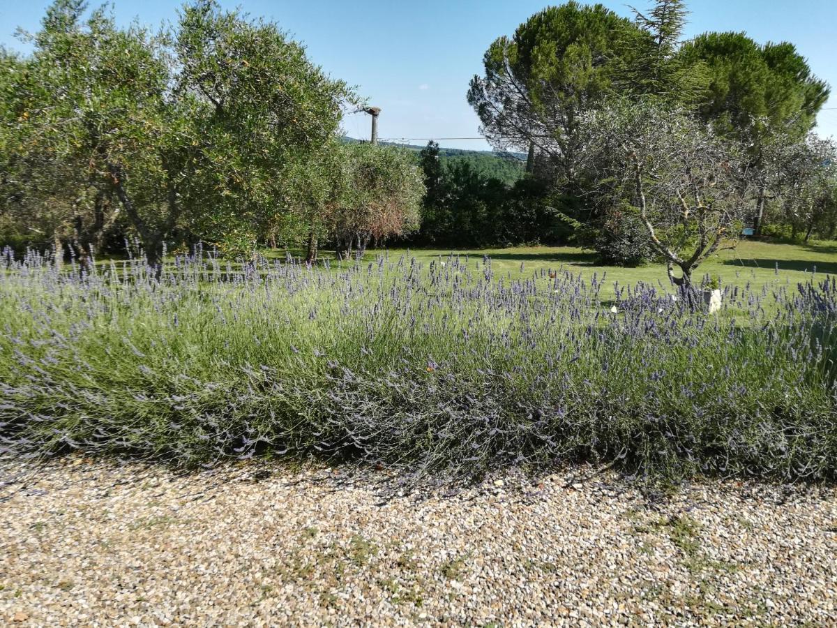 Casa In Collina Siena Exterior foto